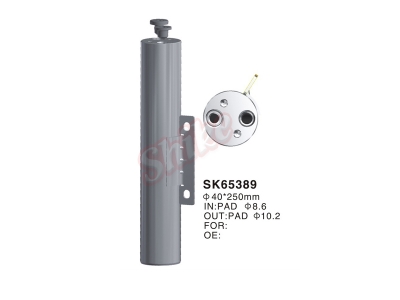 SK-65389